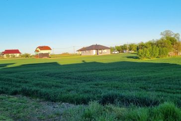 BLAGDAN SVETOG MARKA I BLAGOSLOV USJEVA